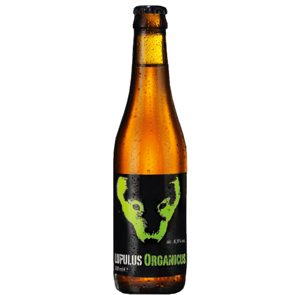 Lupulus organicus Belgian Ale – 8,5%